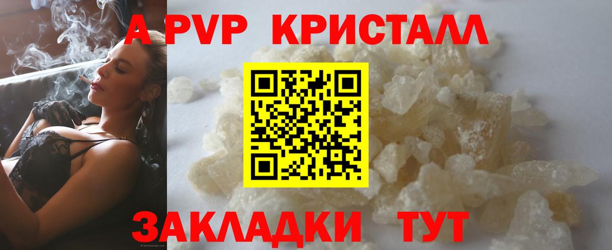 APVP СК Вязьма