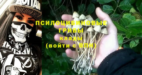 дживик Покачи