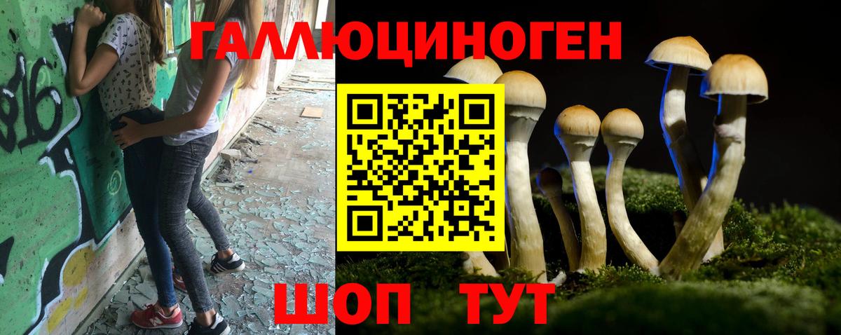 Галлюциногенные грибы ЛСД  Вязьма 